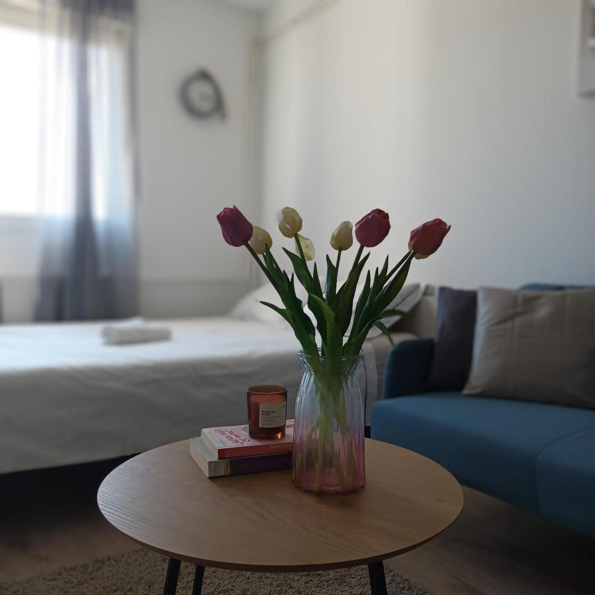 Modern Studio Near City Center Загреб Экстерьер фото